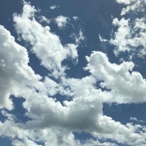 Meet your Posher, Sam